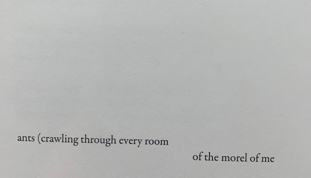 ants (crawling though every room
of the morel of me